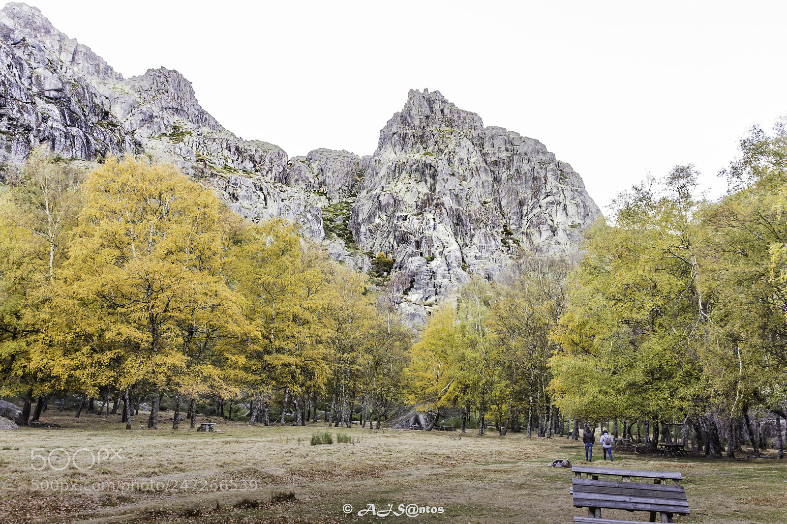 Nikon D7200 sample photo. Covão d'ametade photography