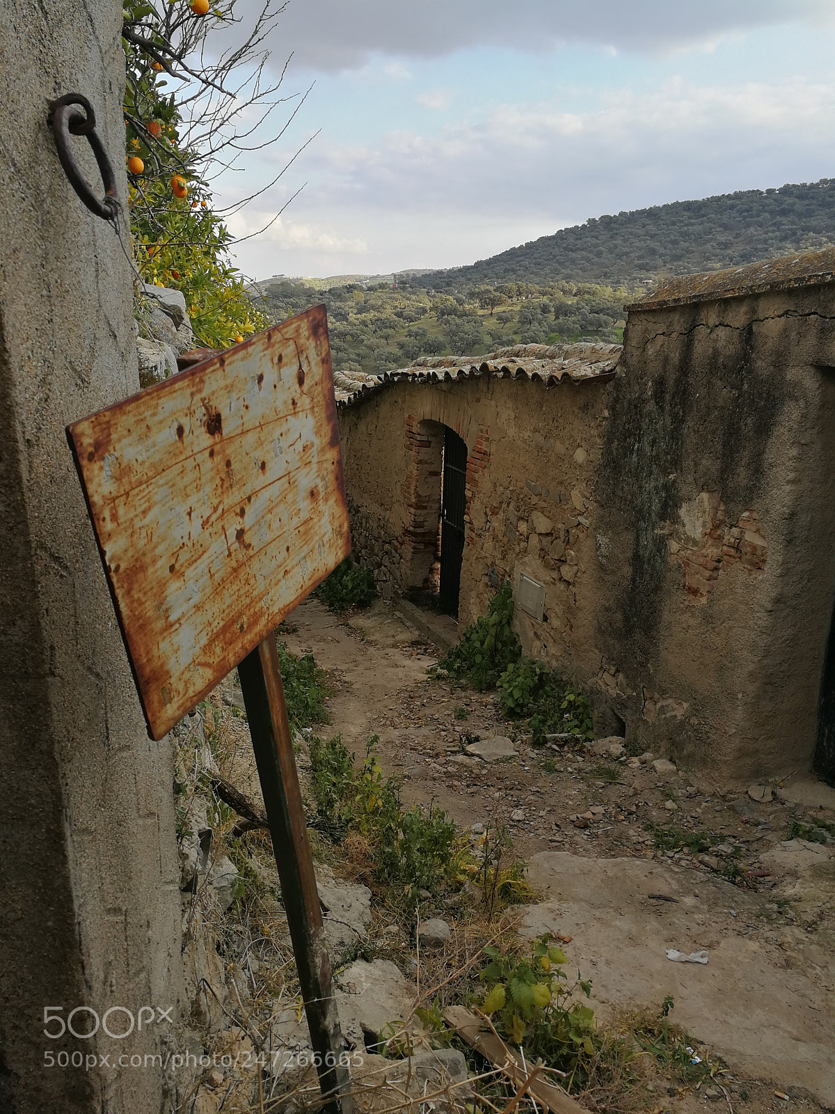 HUAWEI P10 sample photo. The old path photography