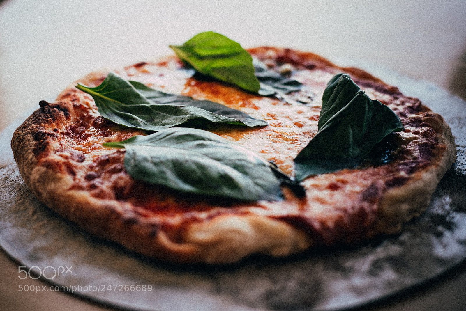 Nikon D610 sample photo. 180210_5553.jpg photography