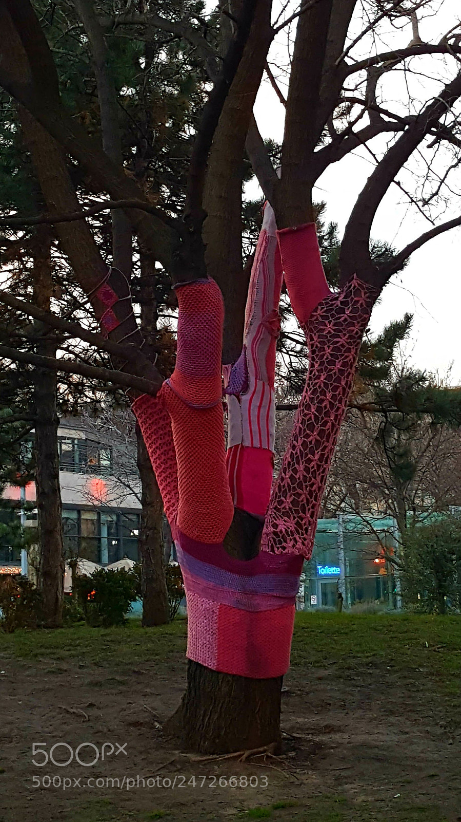 Samsung GALAXY S6 edge sample photo. Urban knitting photography