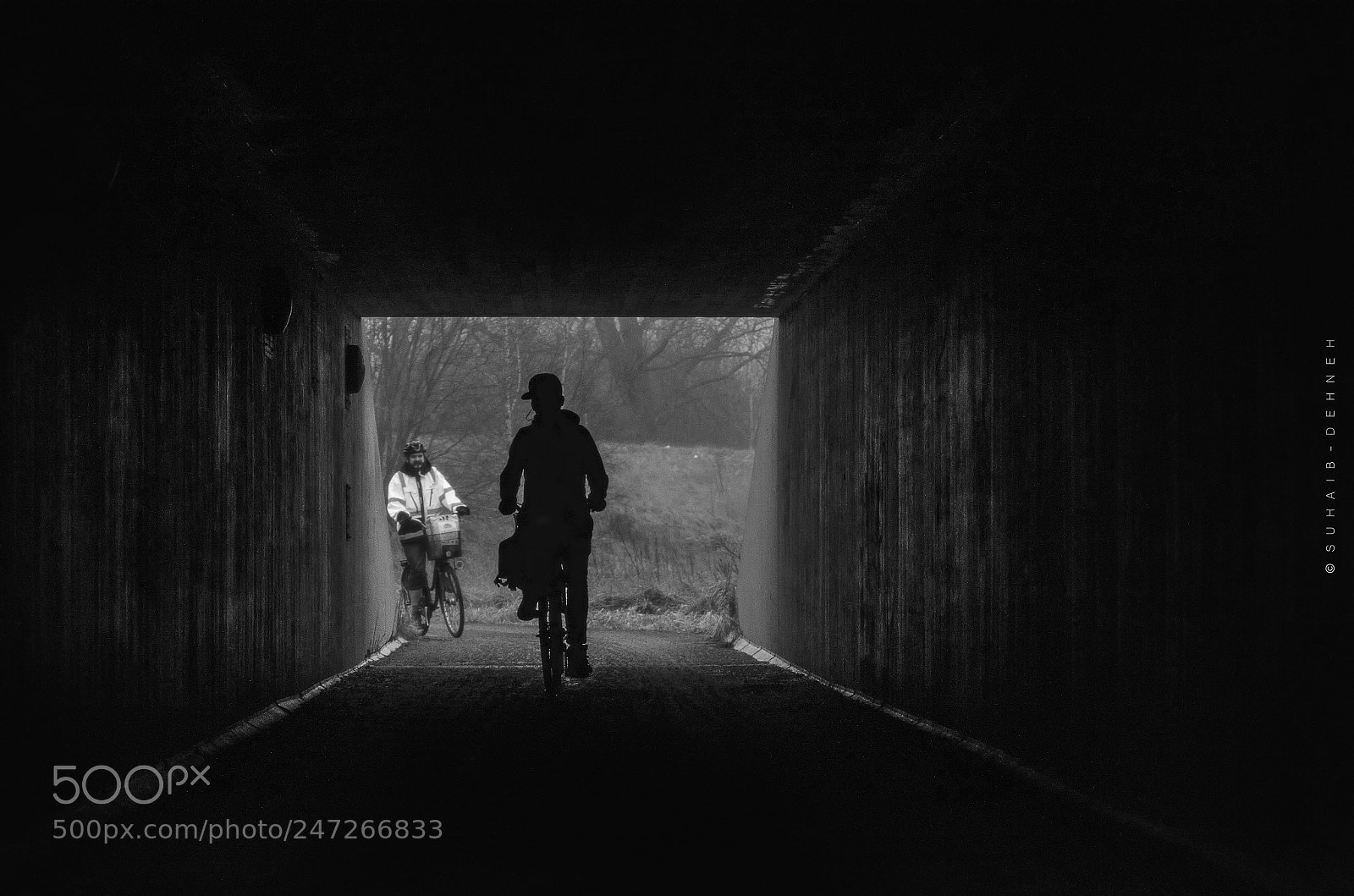 Nikon D5100 sample photo. Tunnel way photography