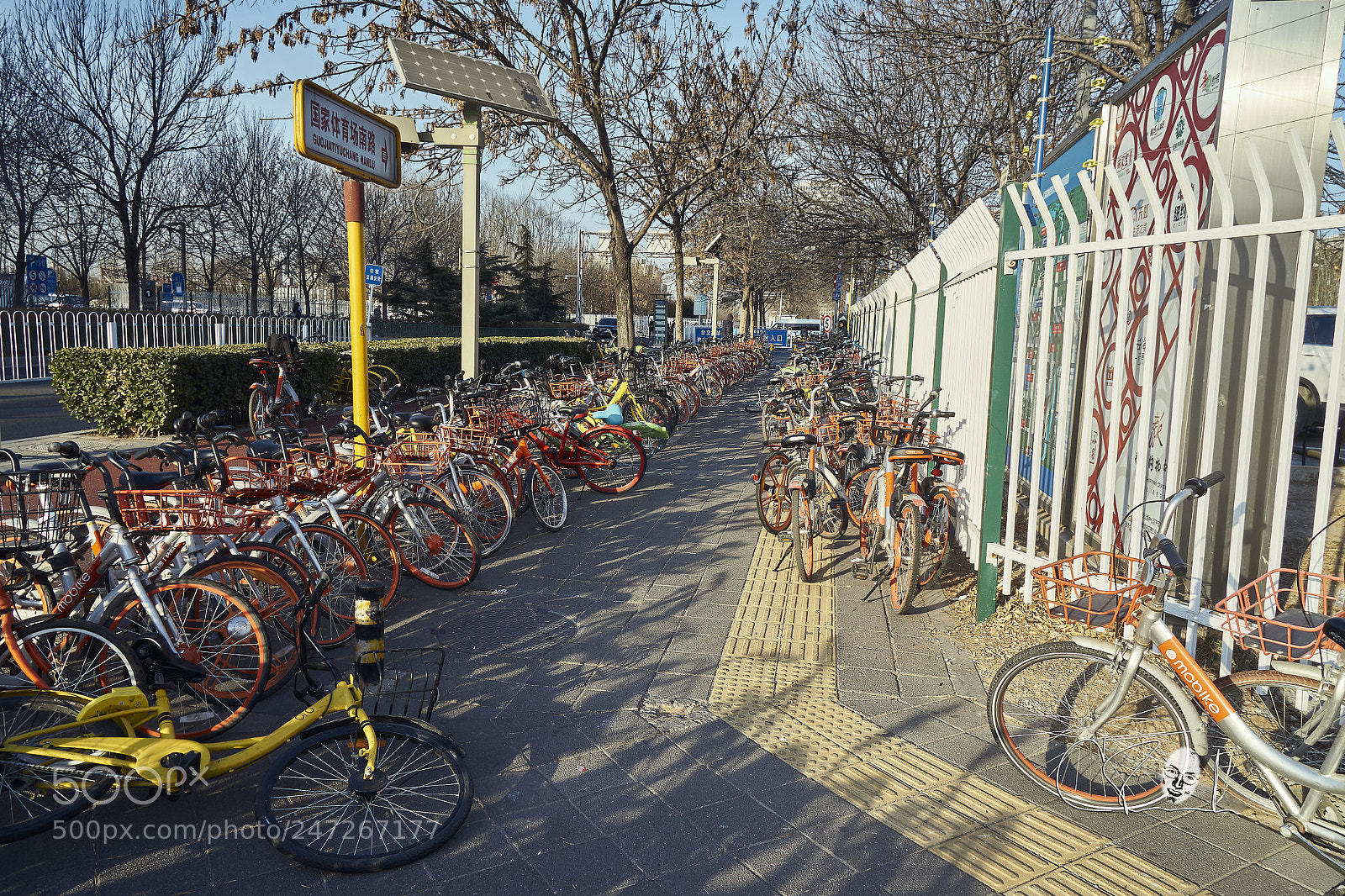 Sony Alpha NEX-6 sample photo. Bixi chinois photography