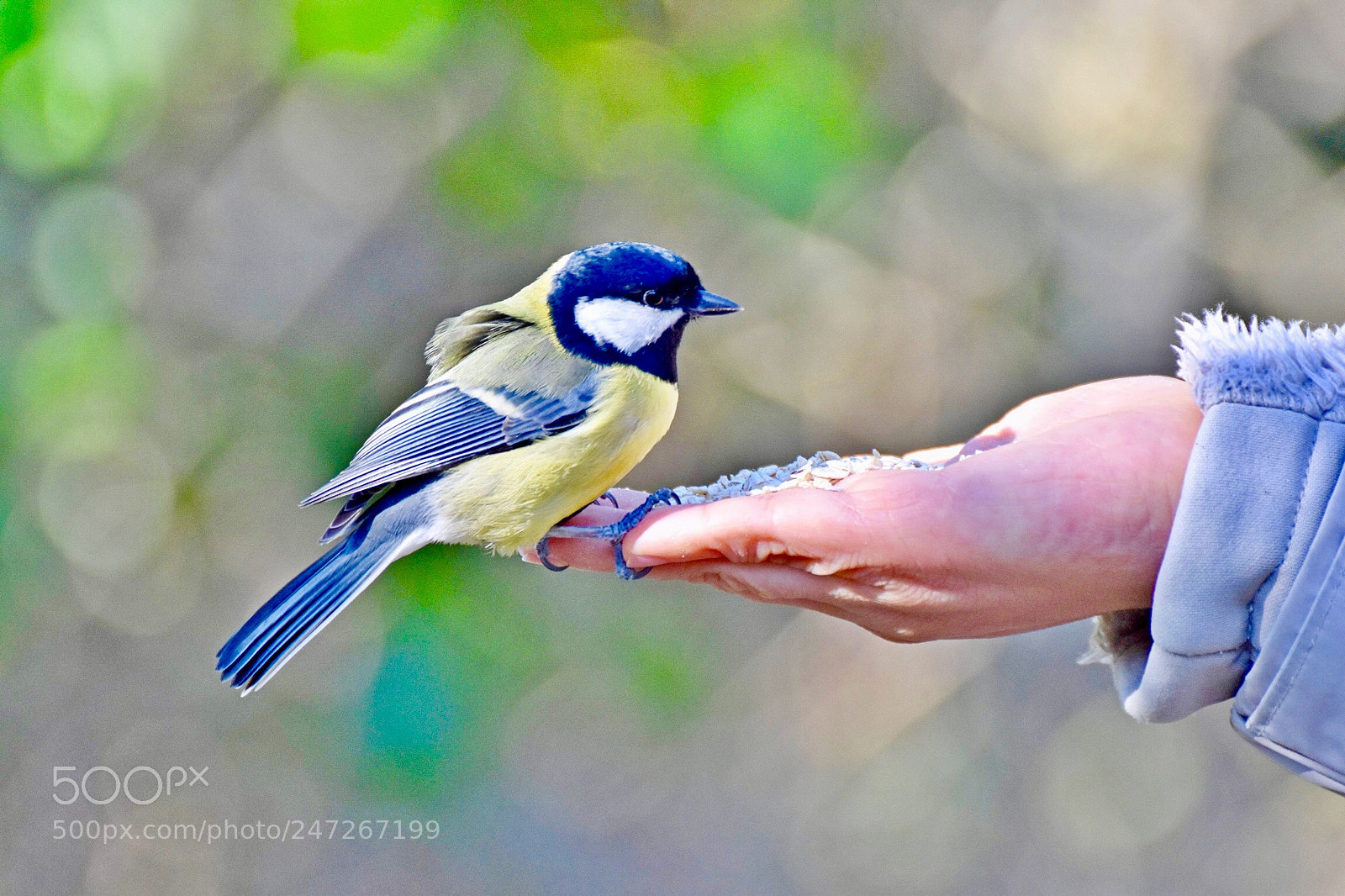 Nikon D5500 sample photo. Trust, because of love... photography