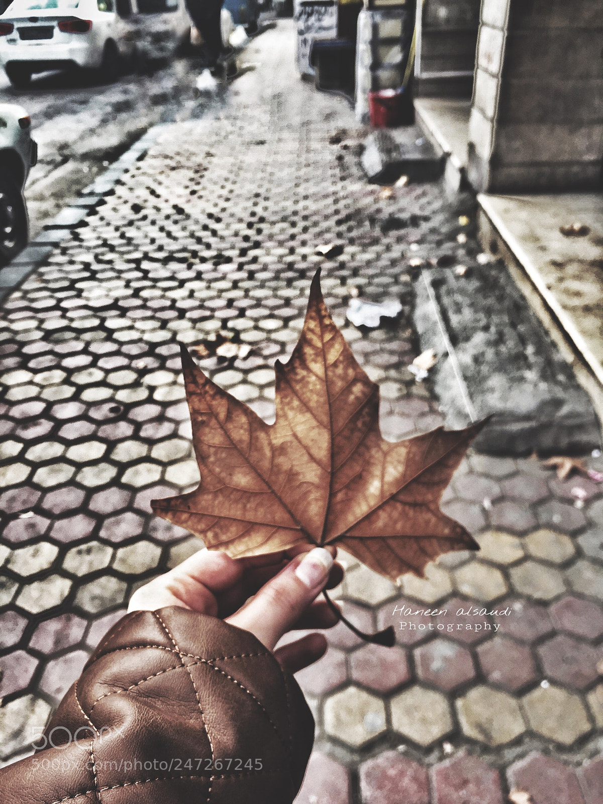 Apple iPhone 6 sample photo. Untitled photography