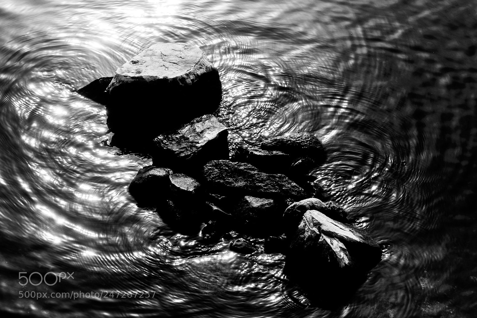 Nikon 1 J5 sample photo. Iseo lake_03 photography