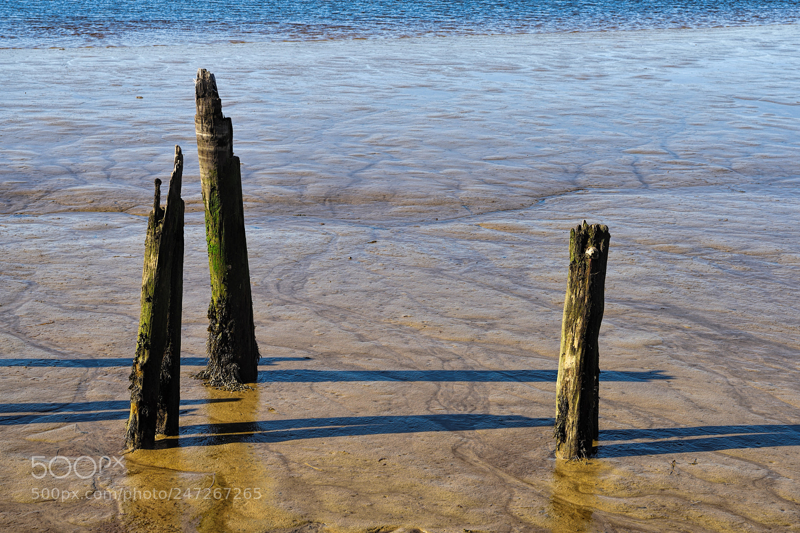Nikon D810 sample photo. Low tide photography