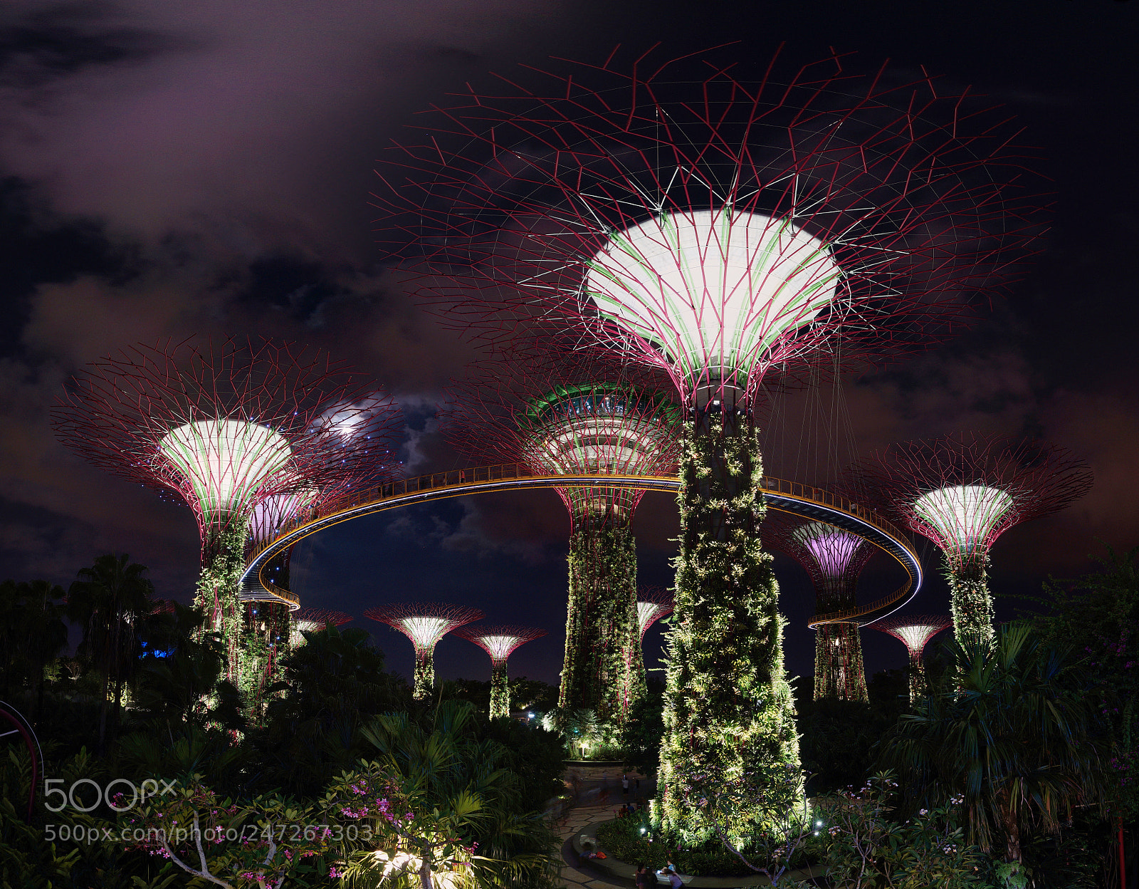 Sony SLT-A58 sample photo. Supertrees, gardens by the photography