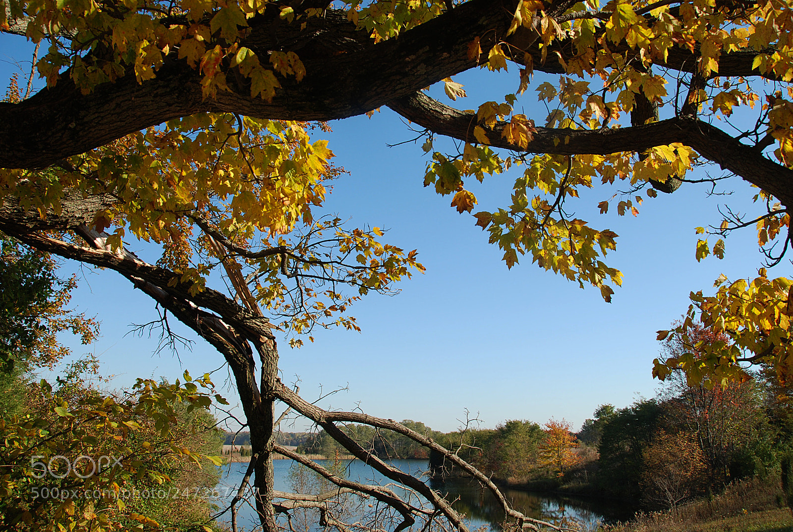 Nikon D80 sample photo. Autumn photography