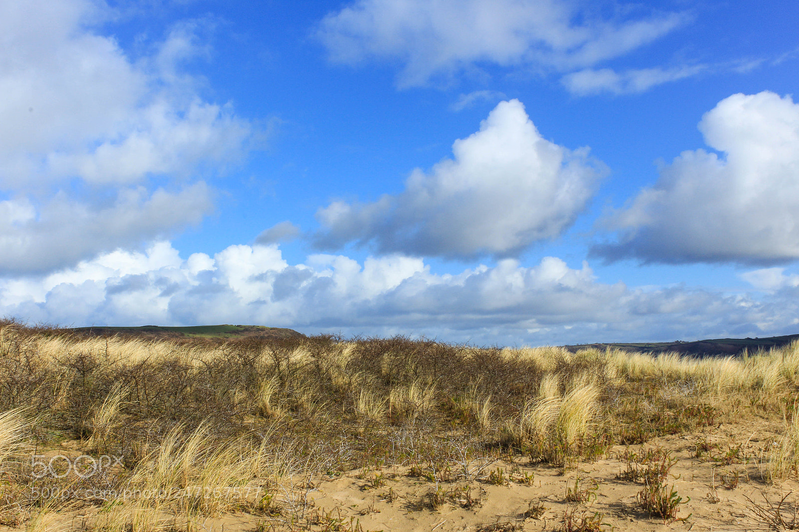 Canon EOS 1300D (EOS Rebel T6 / EOS Kiss X80) sample photo. Sanddunes11 photography