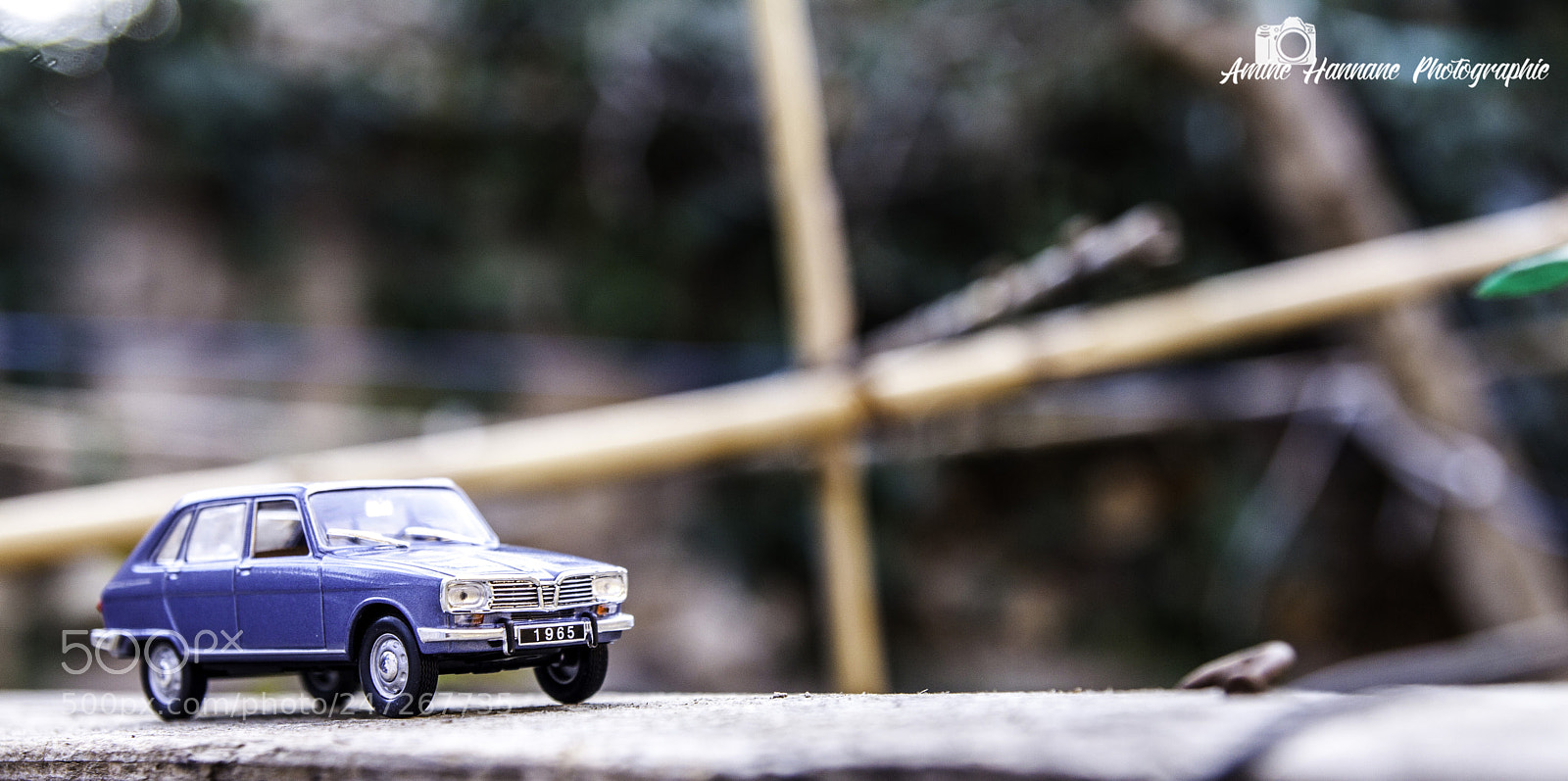 Canon EOS 50D sample photo. Diecast model 1/43 scale renault 16 photography