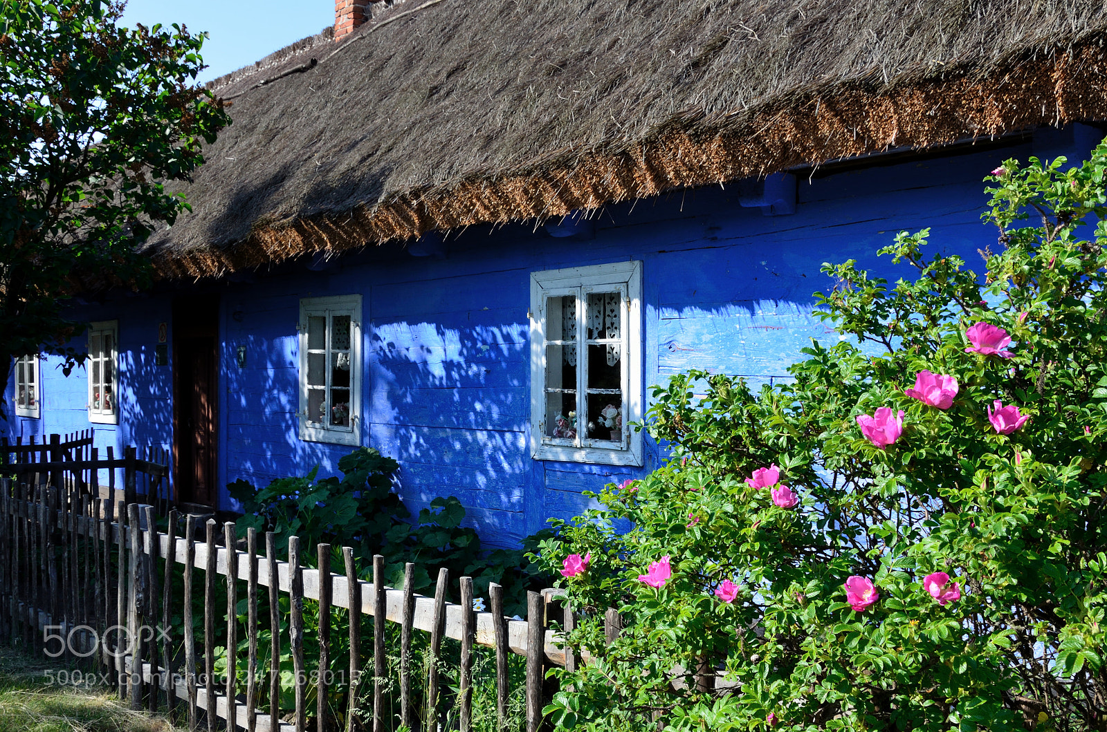 Nikon D5100 sample photo. Blue house photography