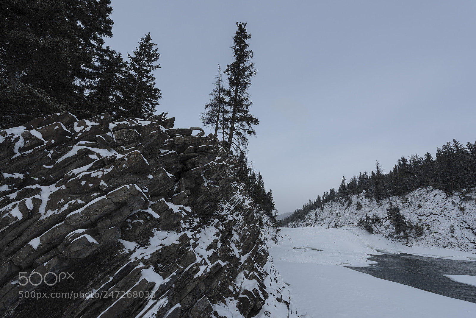 Nikon D810 sample photo. Bow valley photography