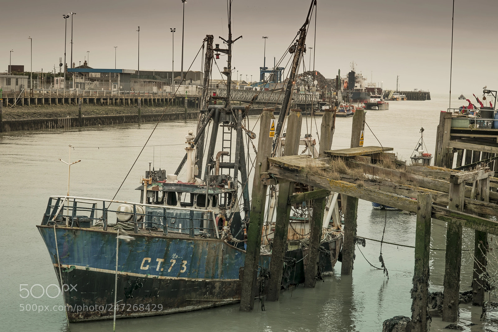 Nikon D800E sample photo. The old girl photography