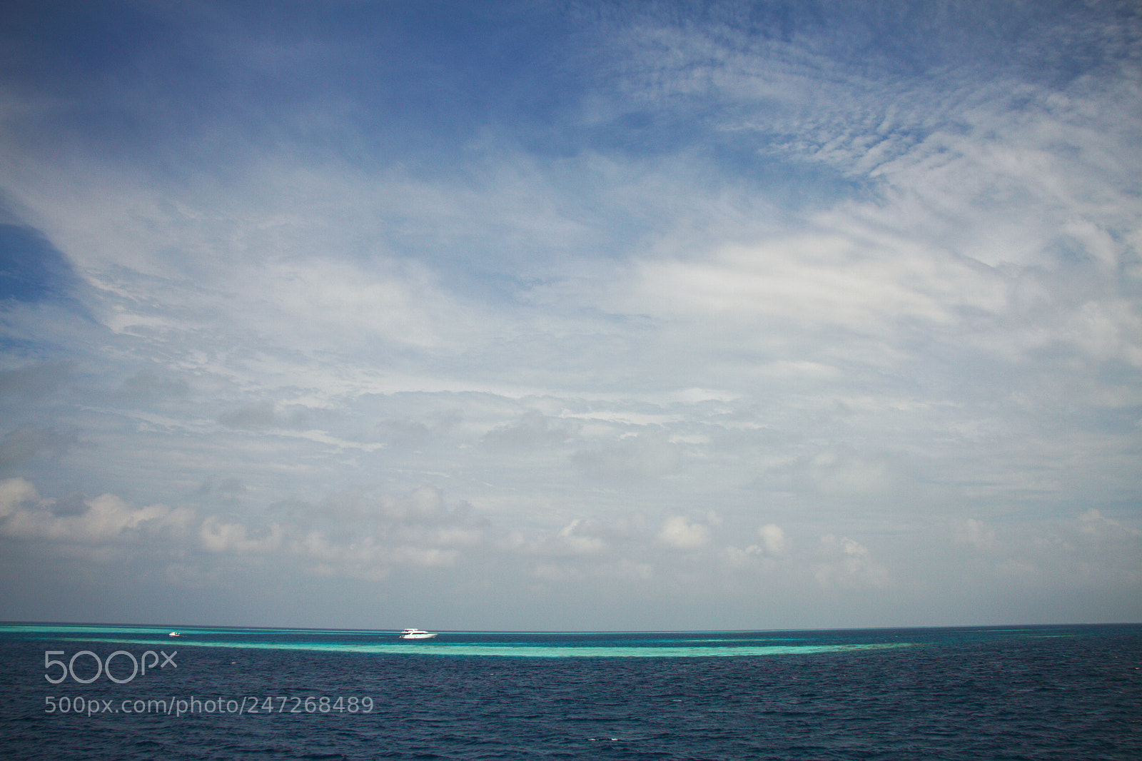 Canon EOS 7D sample photo. Untitled photography
