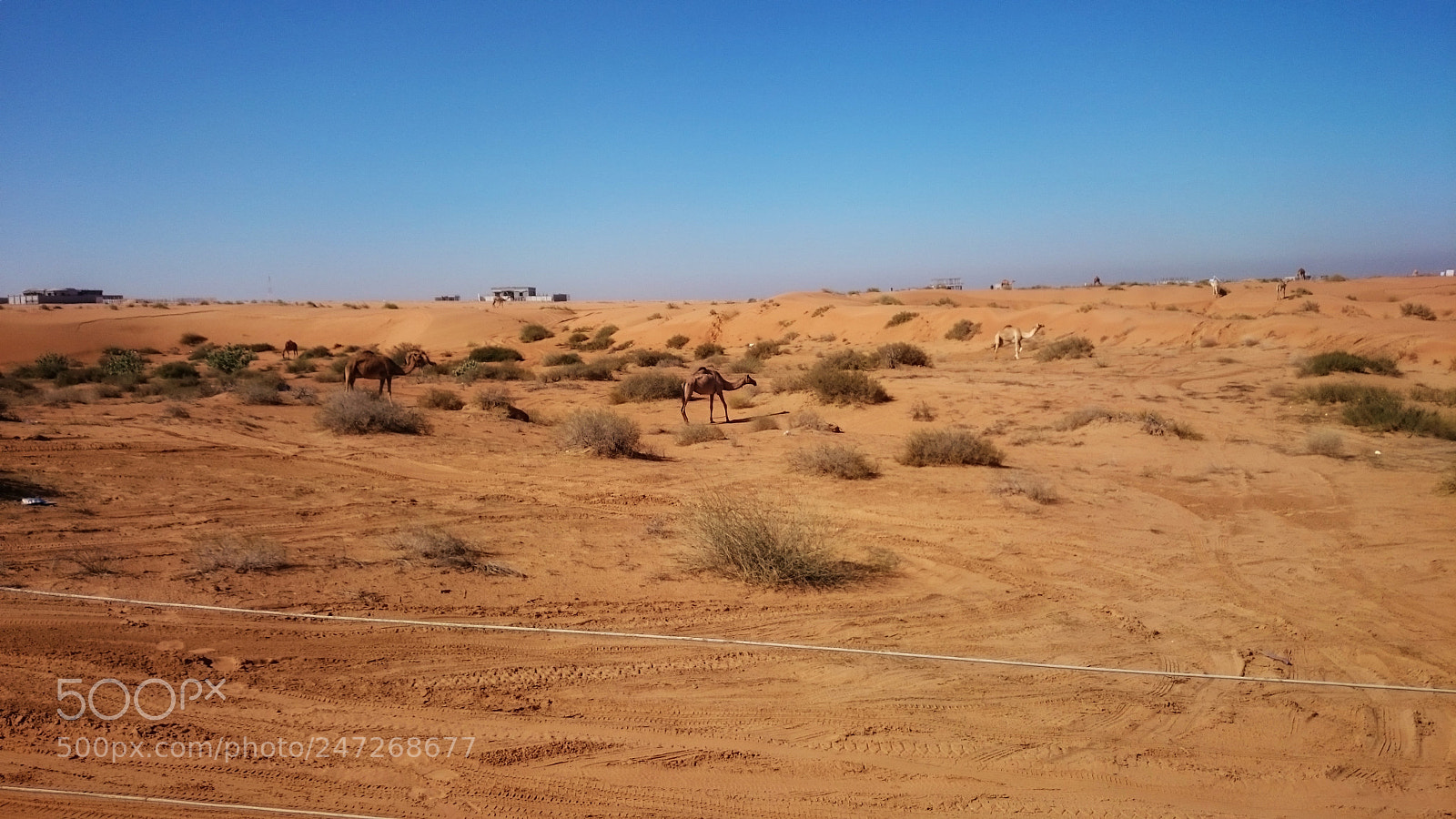 Sony Xperia Z2 sample photo. Untitled photography