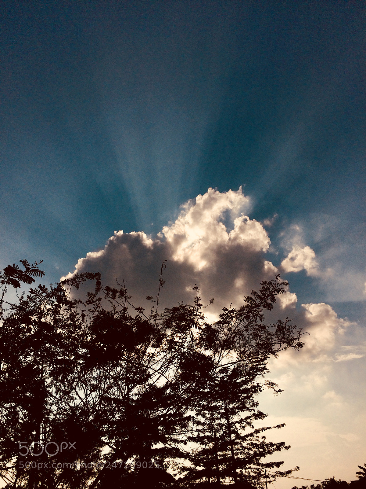 Apple iPhone 5s sample photo. #dot photography
