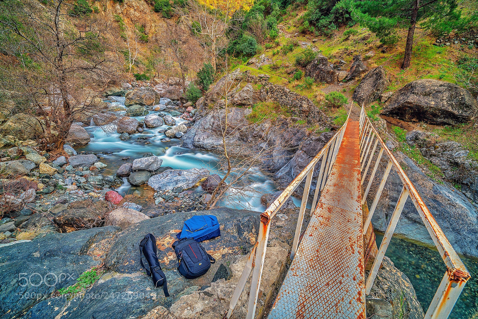 Sony a7R II sample photo. Bridge photography