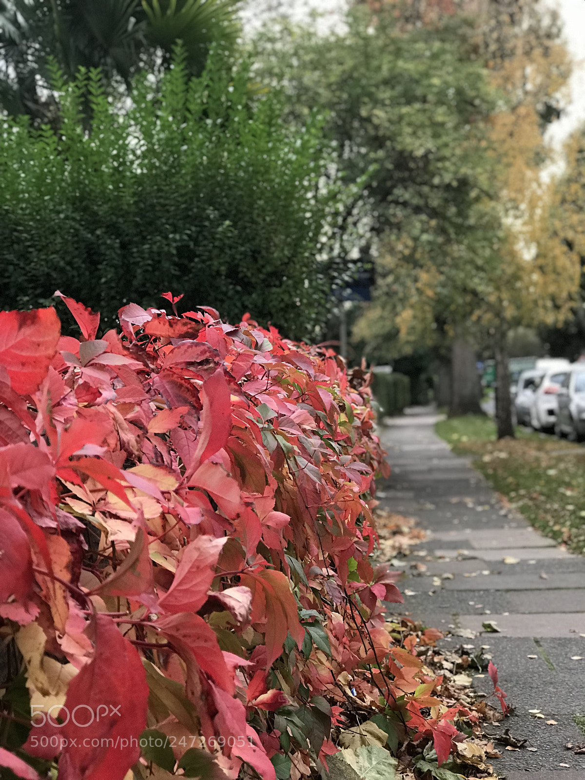 Apple iPhone 7 Plus sample photo. Untitled photography