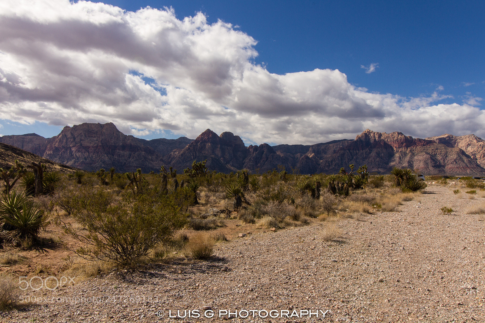 Canon EOS 7D sample photo. Las vegas photography