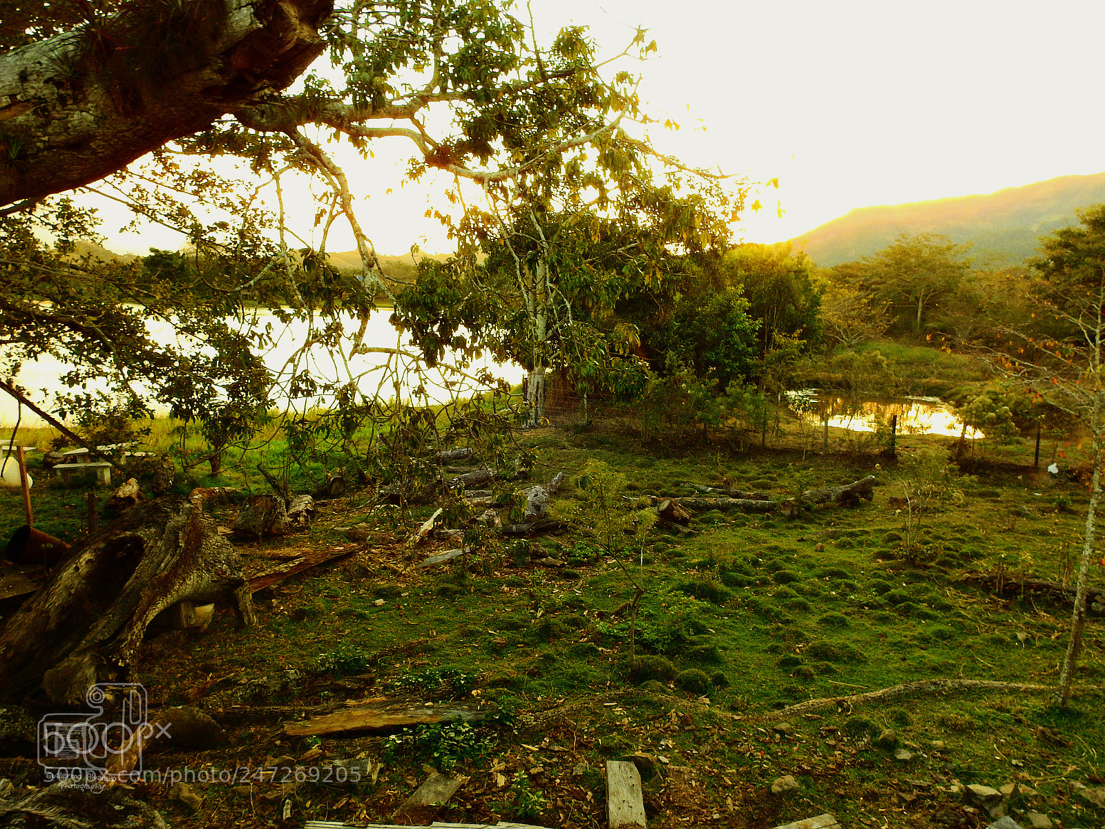 Nikon Coolpix P900 sample photo. Fallen dusk photography