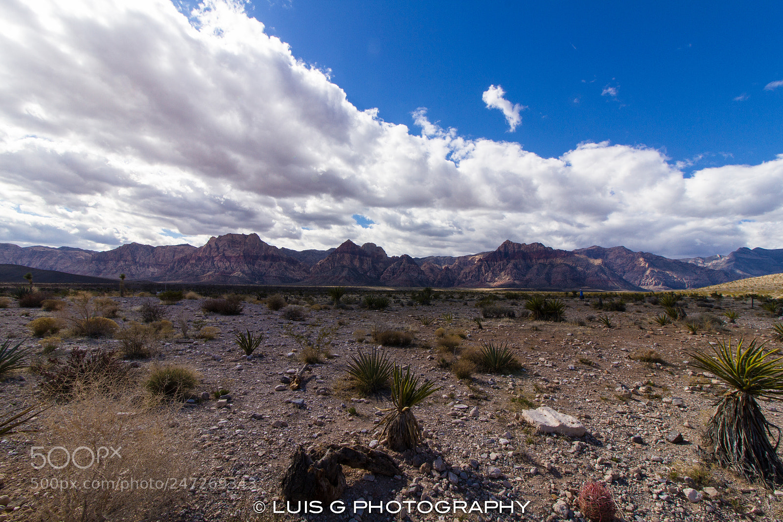 Canon EOS 7D sample photo. Las vegas photography