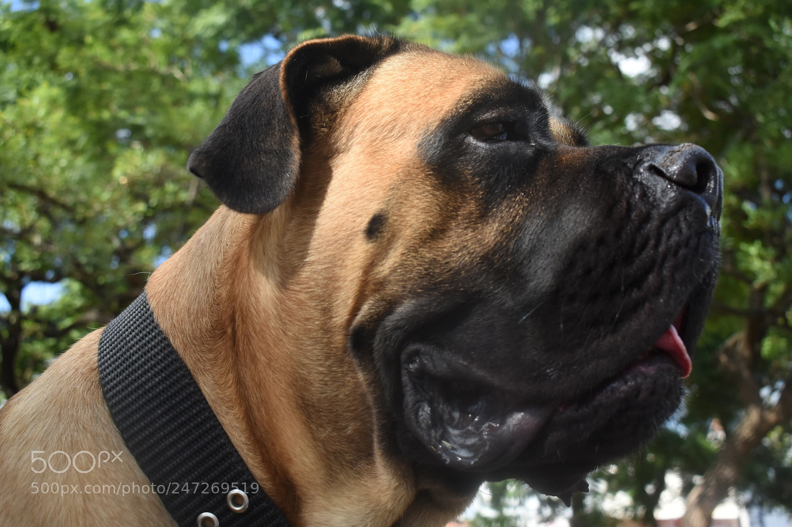 Nikon D3400 sample photo. Dsc photography