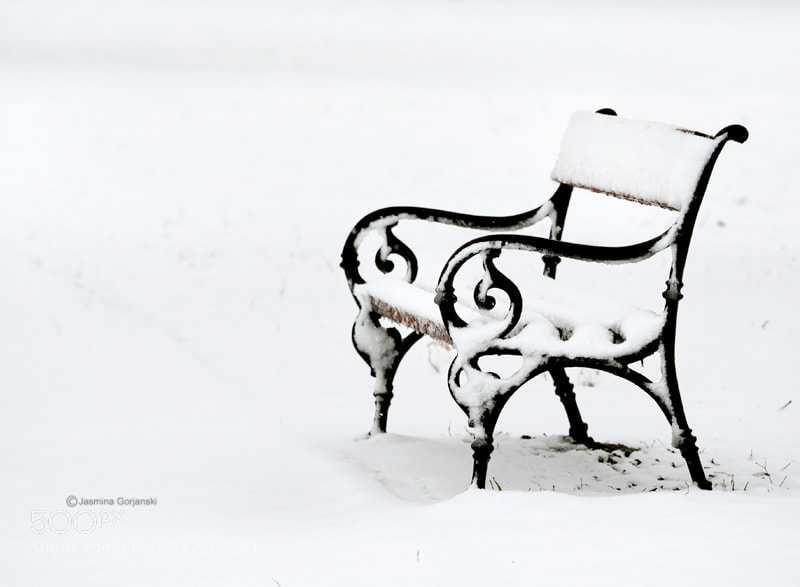 Olympus OM-D E-M1 Mark II sample photo. Winter silence photography