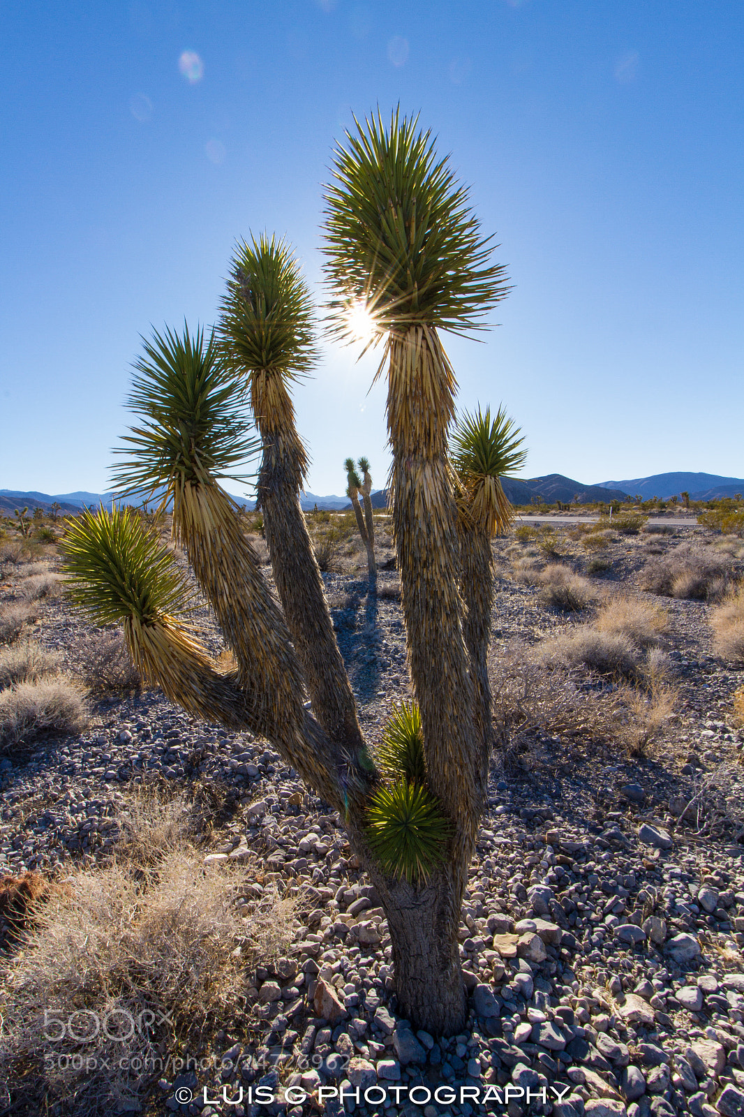 Canon EOS 7D sample photo. Las vegas photography