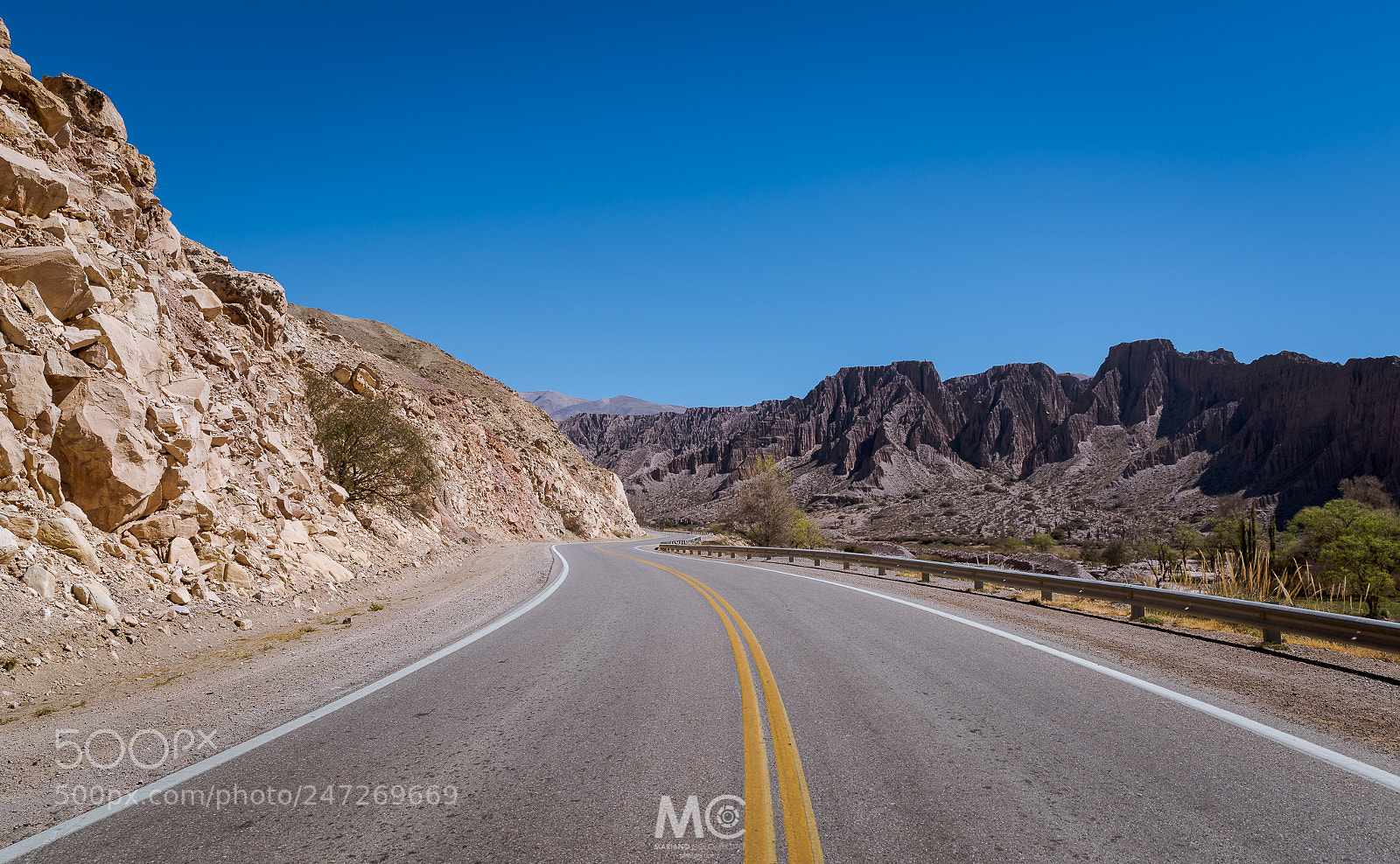 Nikon D610 sample photo. Divided by a road photography