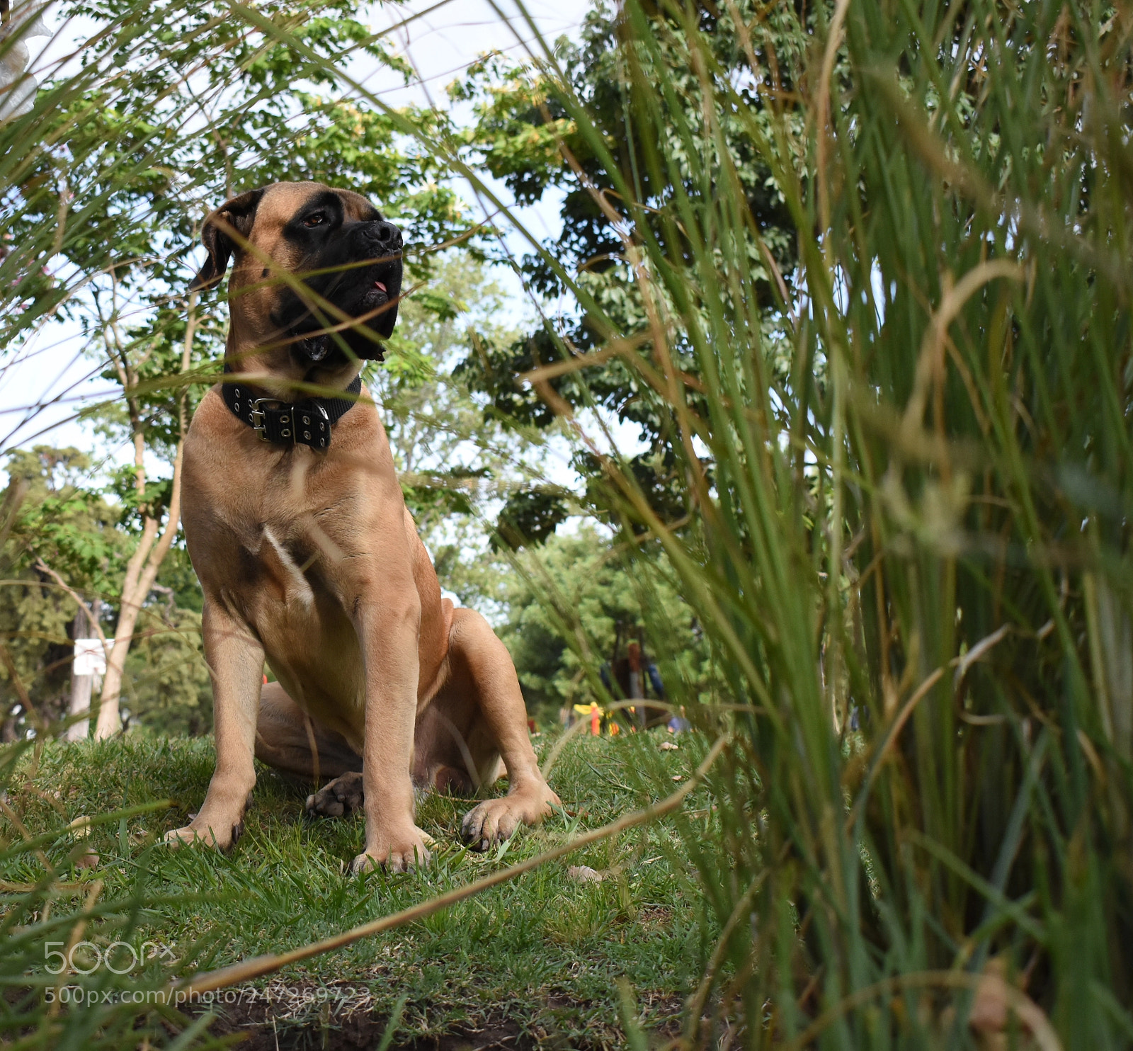 Nikon D3400 sample photo. Mm photography