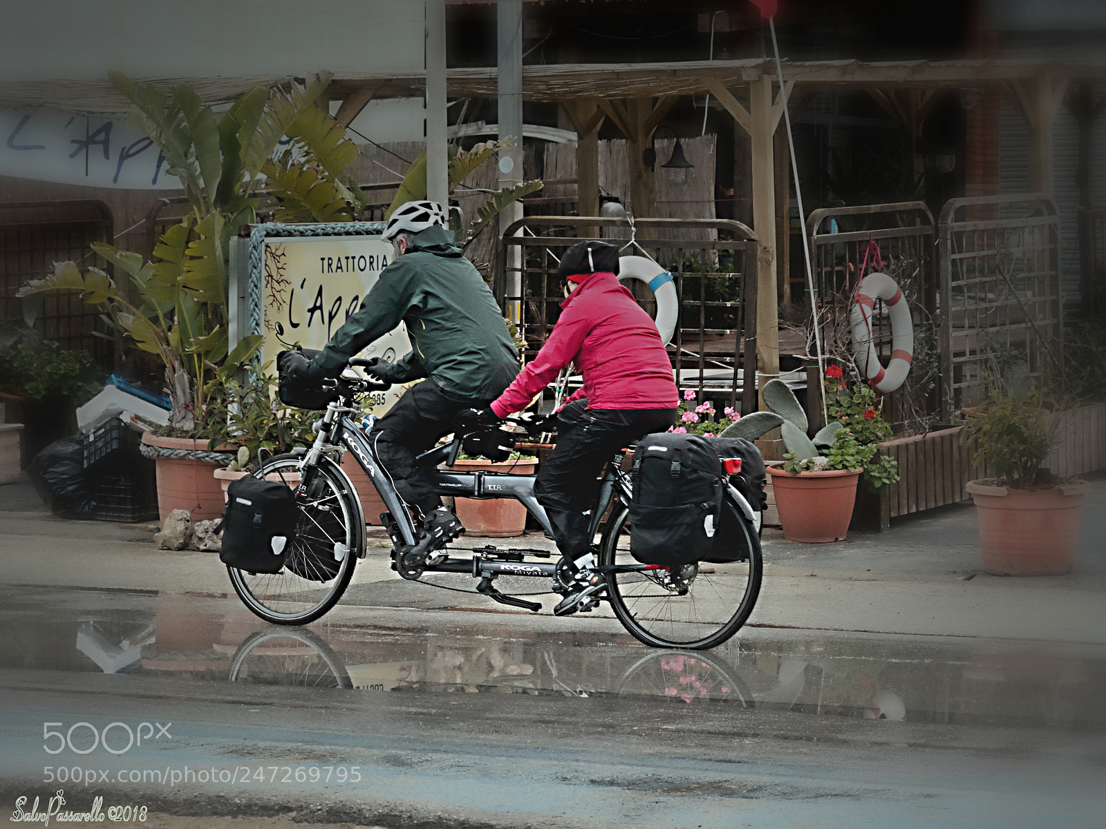 Nikon D5200 sample photo. Together in the rain photography