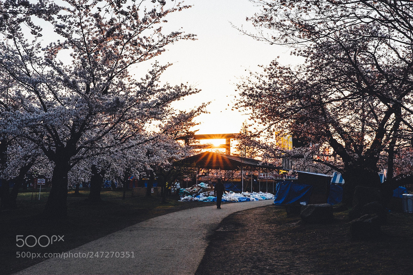 Fujifilm X-T2 sample photo. Early morning. photography