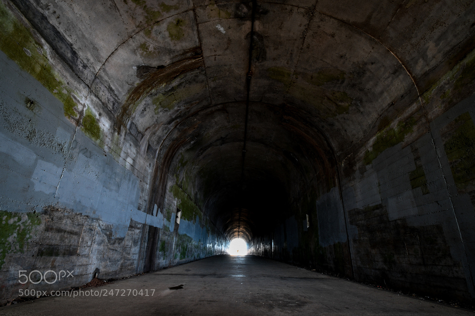 Nikon D7500 sample photo. Path to light photography