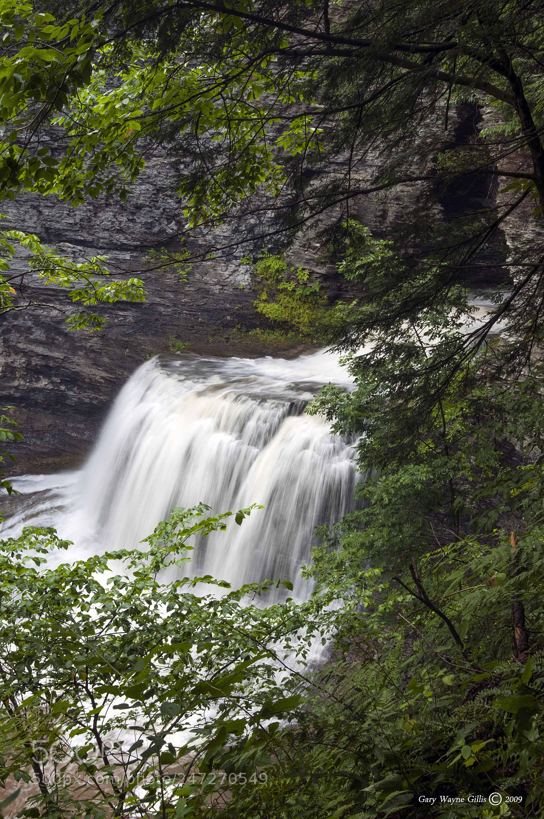Nikon D300 sample photo. Buttermilk falls photography