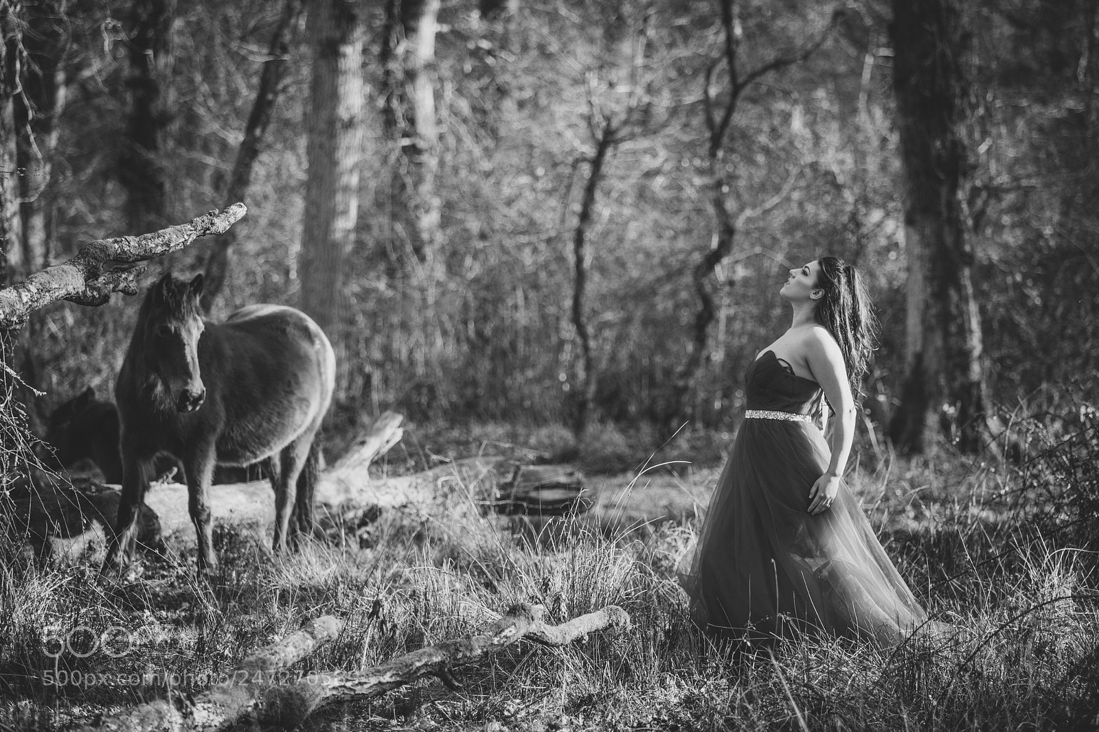 Canon EOS 6D Mark II sample photo. Beauty and the beast photography