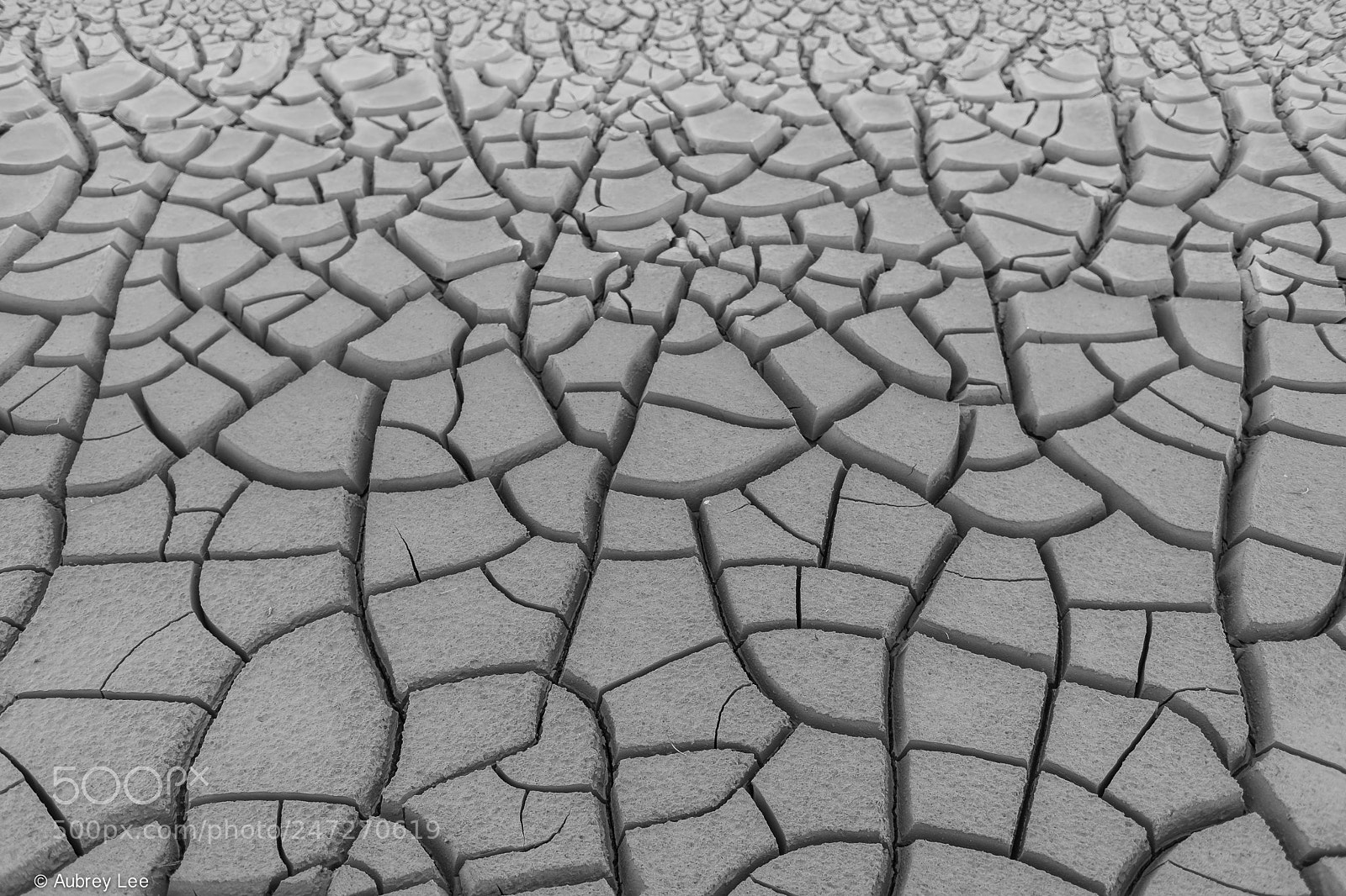 Nikon D610 sample photo. Cracked up photography