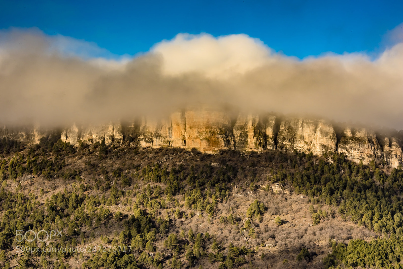 Nikon D810 sample photo. Machorro photography