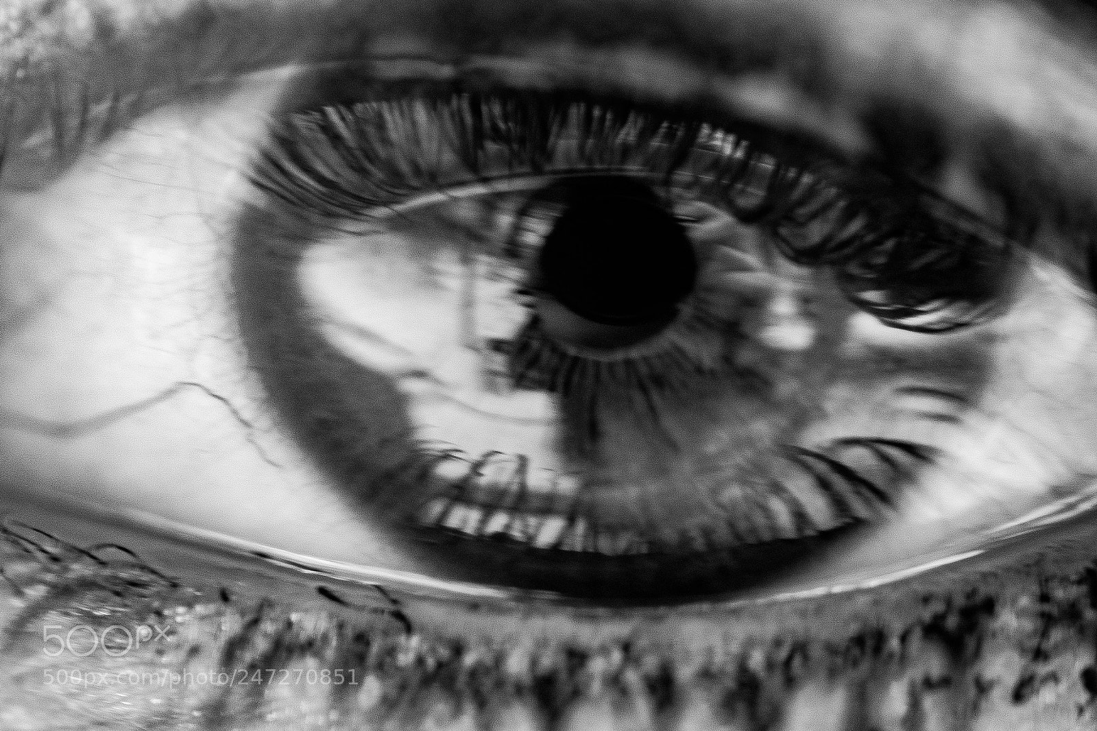 Olympus OM-D E-M10 sample photo. Look deep inside.... fly photography