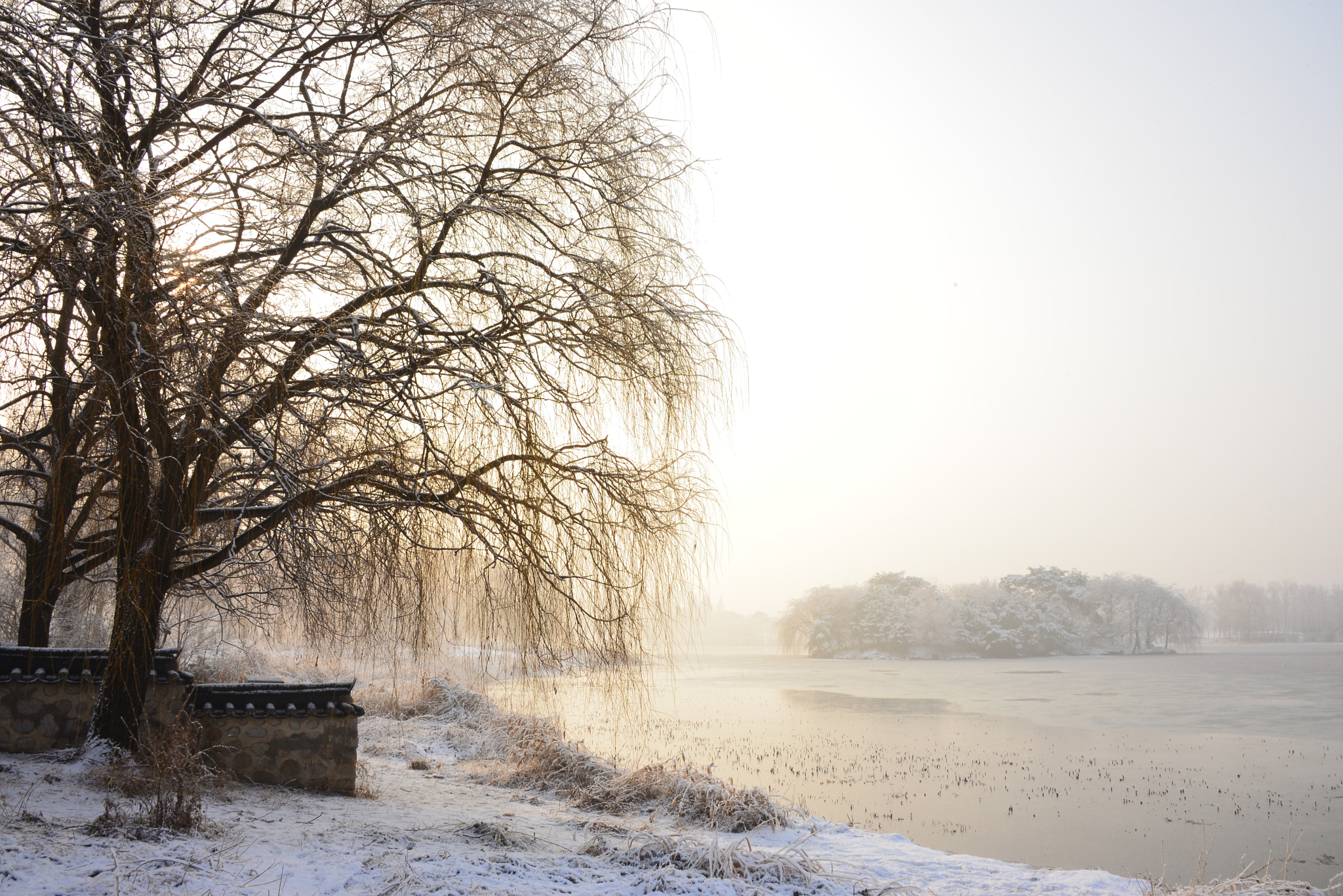 Nikon D610 sample photo