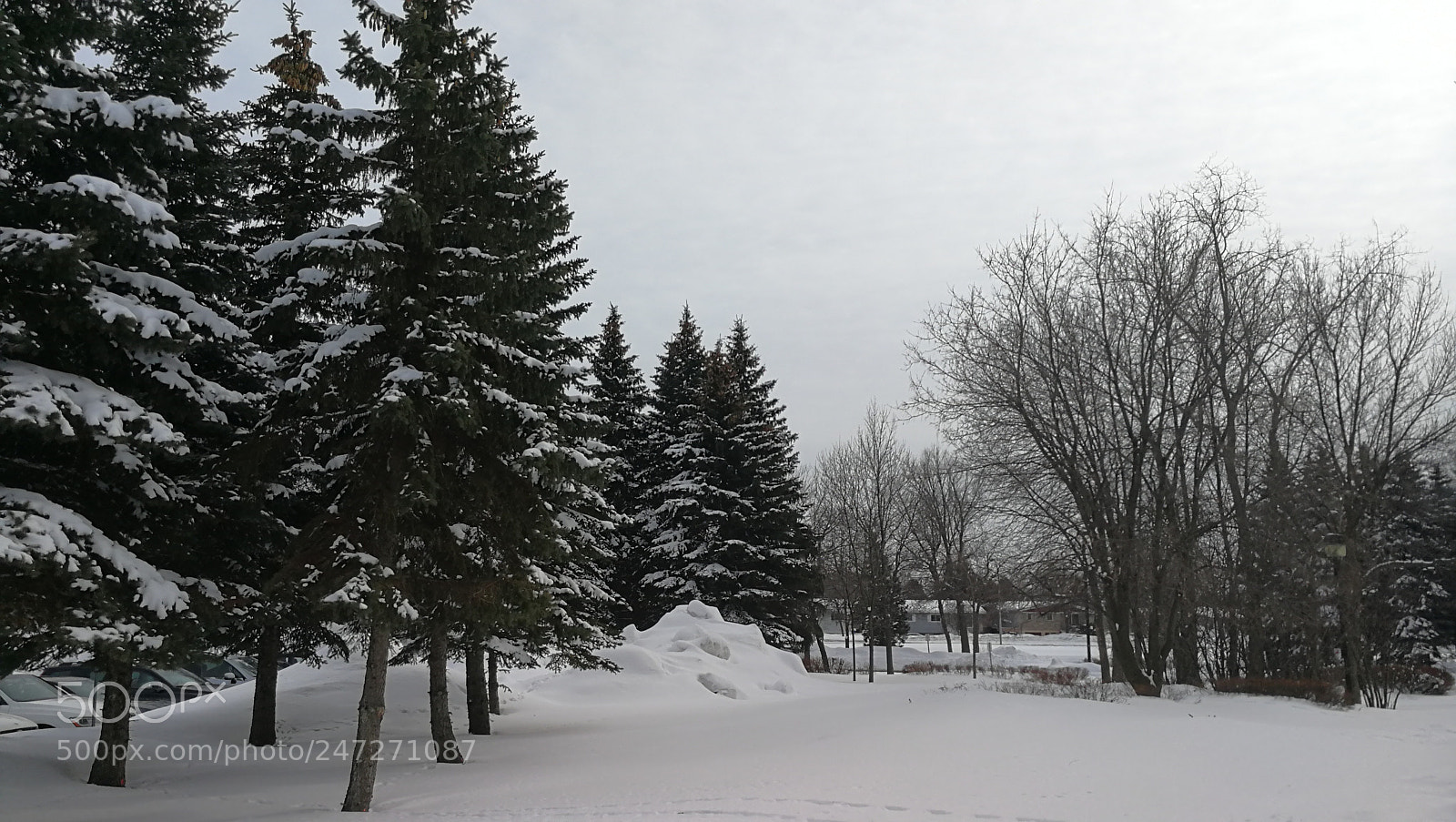 HUAWEI P10 sample photo. Snow photography