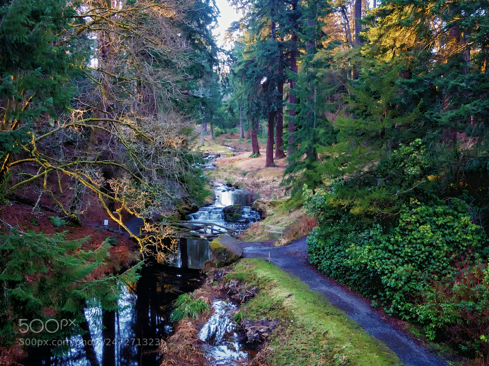Olympus OM-D E-M5 sample photo. Cragside ii photography