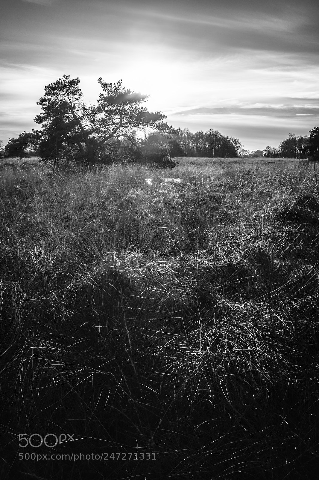 Fujifilm X100S sample photo. Untitled photography