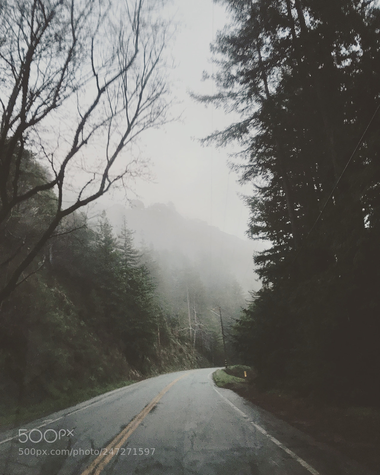 Apple iPhone 7 Plus sample photo. Pacific coast highway photography