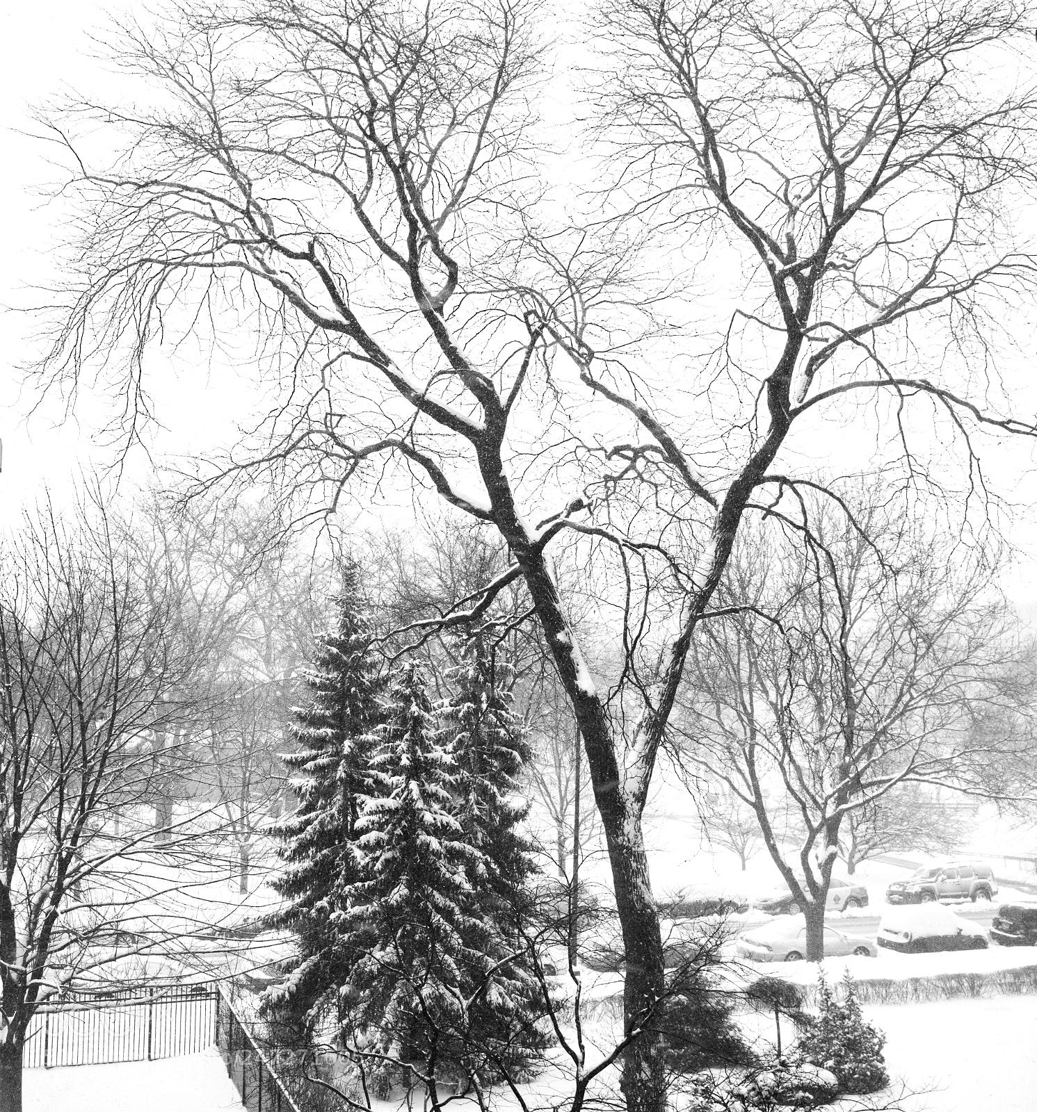 Nikon D7100 sample photo. From the window photography