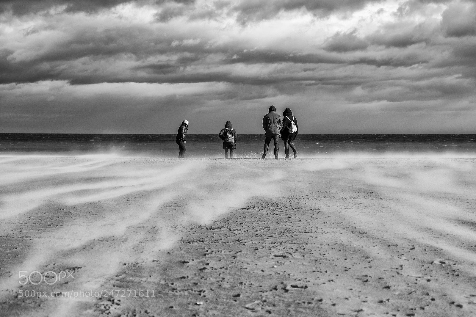 Fujifilm X-T20 sample photo. Blowing in the wind photography