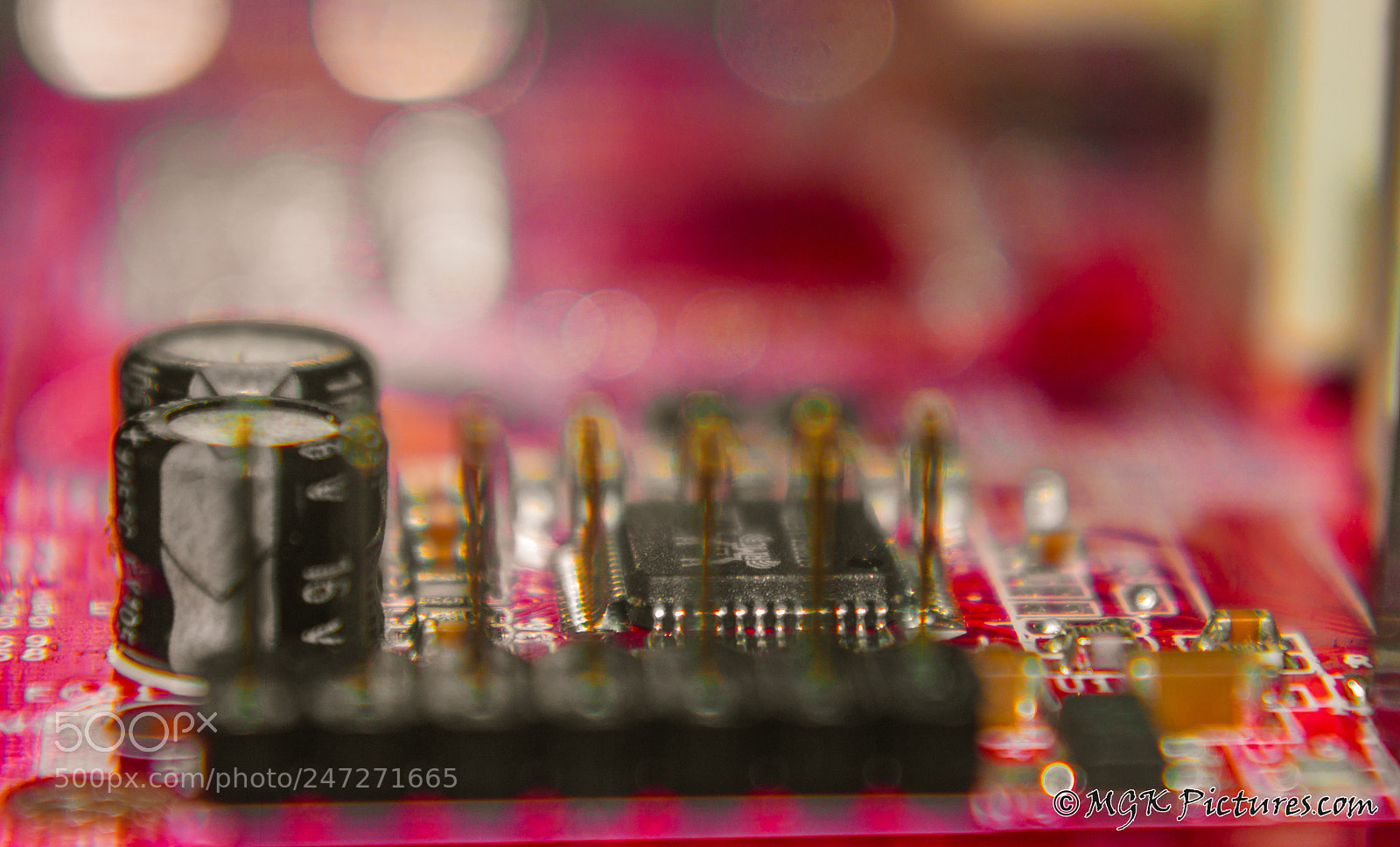 Pentax K-7 sample photo. Red gold photography