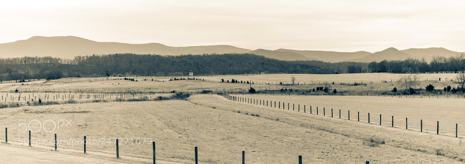 Nikon D800 sample photo. 1802-4701.jpg photography