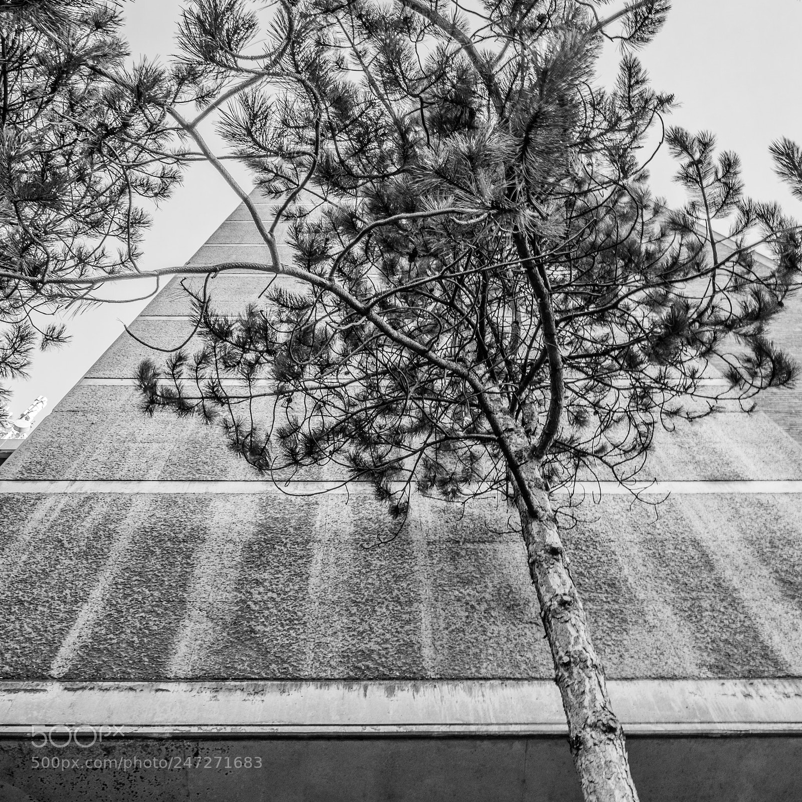 Fujifilm X-T2 sample photo. Belgacom photography