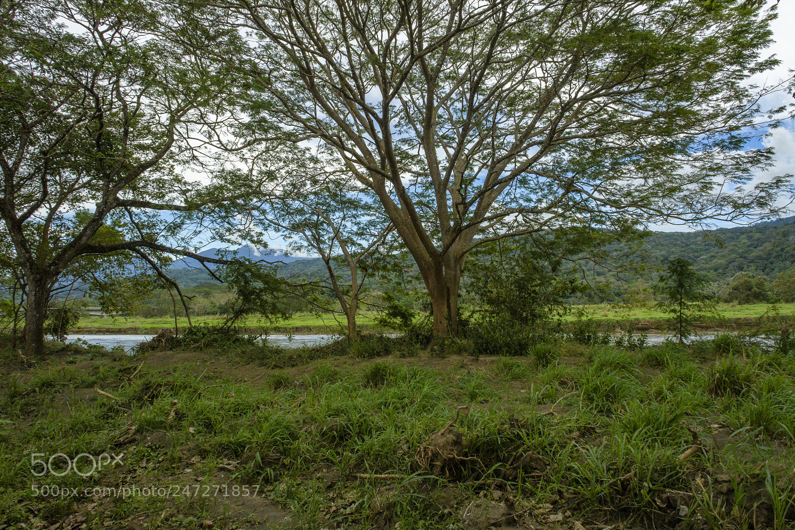 Nikon D500 sample photo. Costa rica countryside photography