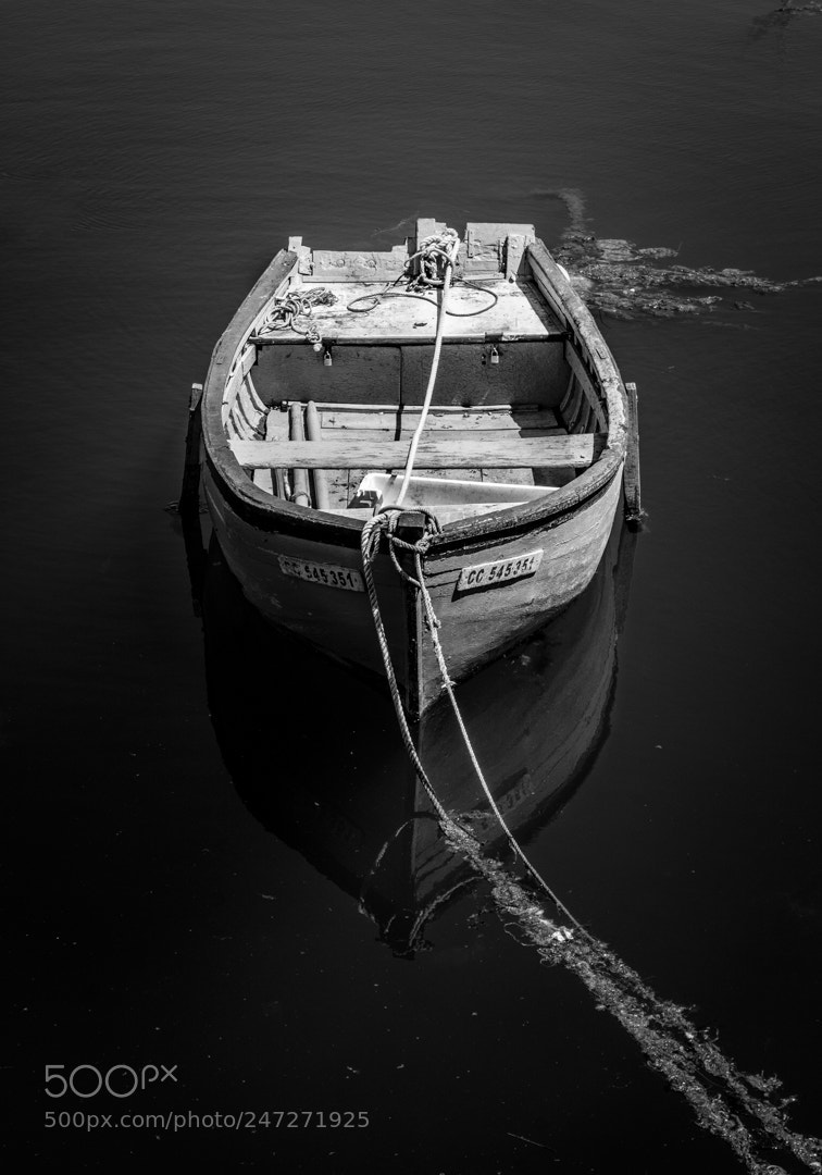 Nikon D7100 sample photo. Barque en bois dans photography